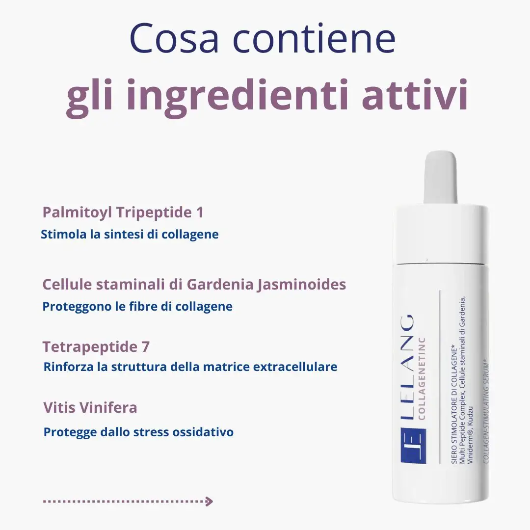 Cosa_Contiene_4_1200x Cosa_Contiene_4_1200x